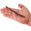 Berkley PowerBait Bottom Hopper Fishing Soft Bait(Green Pumpkin/Watermelon)
