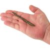 Berkley PowerBait Bottom Hopper Fishing Soft Bait(Watermelon Magic)