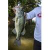 Berkley PowerBait MaxScent(Green Pumpkin Candy)