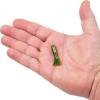 Berkley PowerBait Pre-Rigged Atomic Tubes Fishing Soft Bait(Perch)