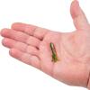 Berkley PowerBait Pre-Rigged Atomic Tubes Fishing Soft Bait(Perch)