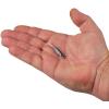 Berkley PowerBait Ripple Shad Fishing Soft Bait(HD Gizzard Shad)