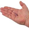 Berkley PowerBait Ripple Shad Fishing Soft Bait(HD Purple Smelt)