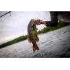 Berkley Powerbait Pro Twitchtail Minnow(Watermelon Pearl)
