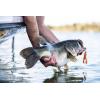 Berkley The Champ Craw(HD Spring Craw)