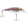Berkley FFSH(Multi)