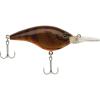 Brown Craw