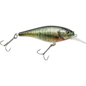 Berkley FFSH(HD Bluegill)