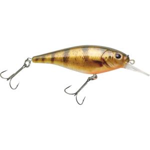 Berkley FFSH(HD Yellow Perch)