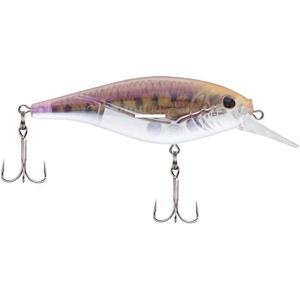 Berkley FFSH(Multi)