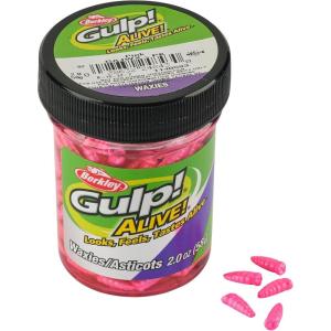 Berkley Gulp! Alive! Waxies Fishing Soft Bait(Pink)