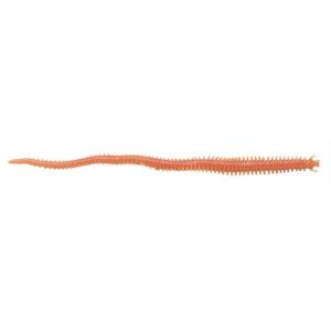 Berkley Gulp! Sandworm Natural, 6 Inch