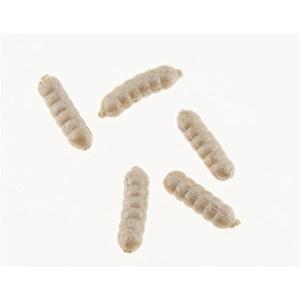 Berkley PowerBait Power Wigglers Fishing Soft Bait(White)