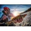 BerkleyFishing Line(Smoke – Old)
