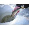 Abu Garcia Max Ice Angelrolle(New Model)