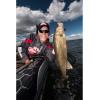 Berkley Lightning Rod Spinning Combo(30 Size Reel – 6’6″ – Medium Light – 2pc)