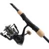 Pflueger President XT Spinning Reel and Fishing Rod Combo(New Model)