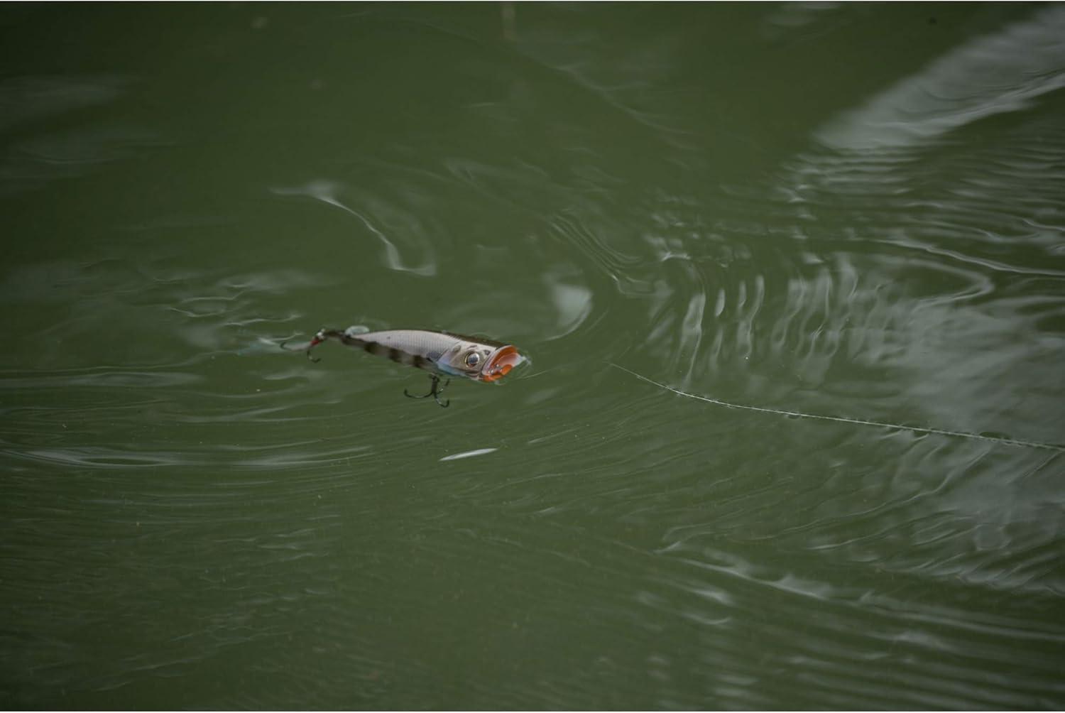 image:imageBerkley Bullet Pop Fishing Hard BaitBaby Bass