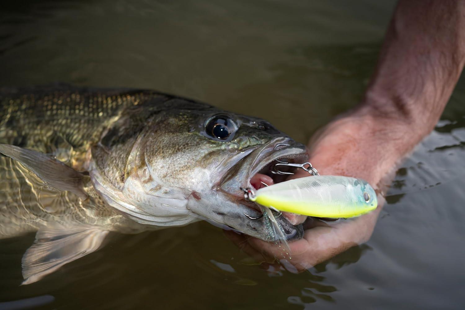 image:imageBerkley Bullet Pop Fishing Hard BaitMF Shad