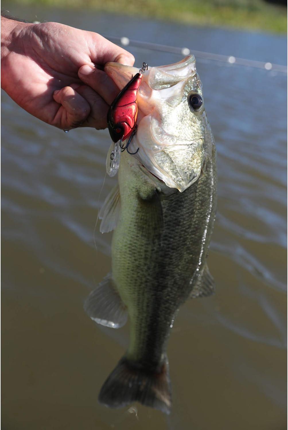 image:imageBerkley Crankbait Hard Fishing LuresFiretiger