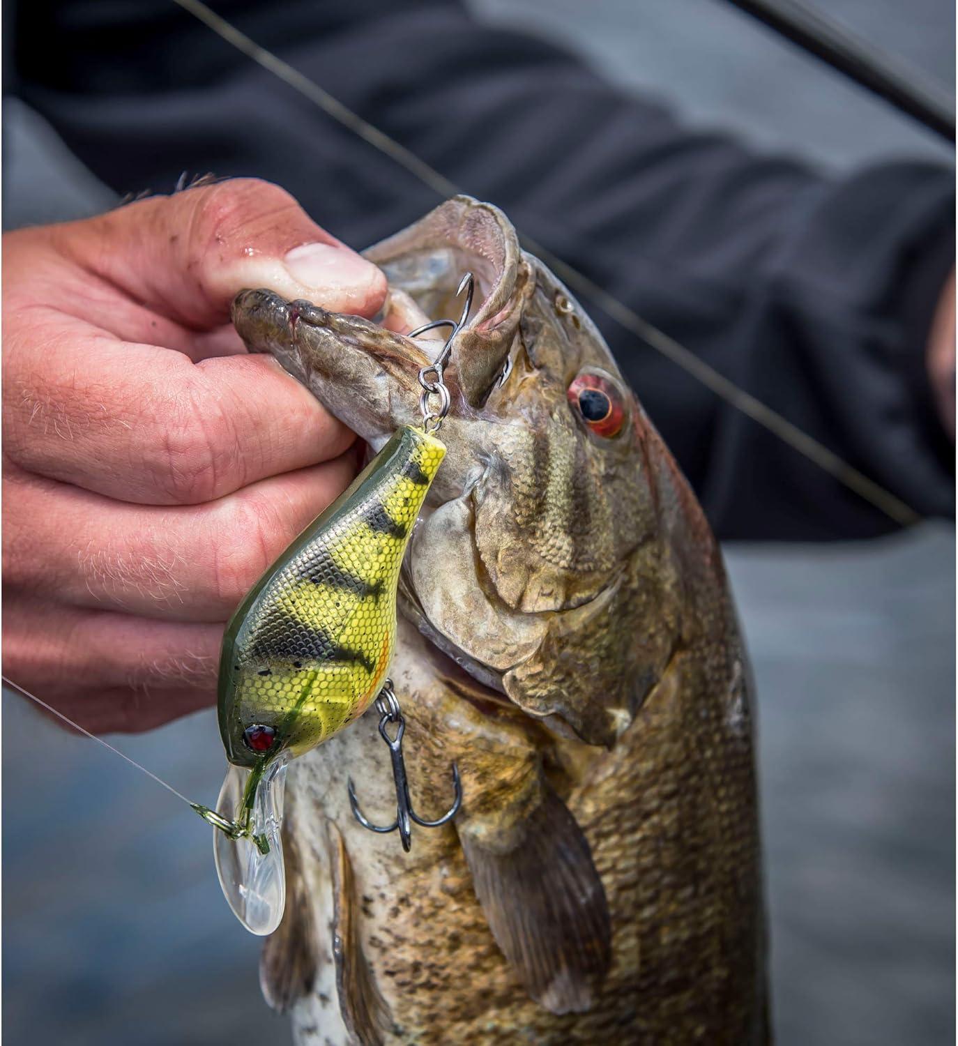 image:imageBerkley Crankbait Hard Fishing LuresMoss Craw