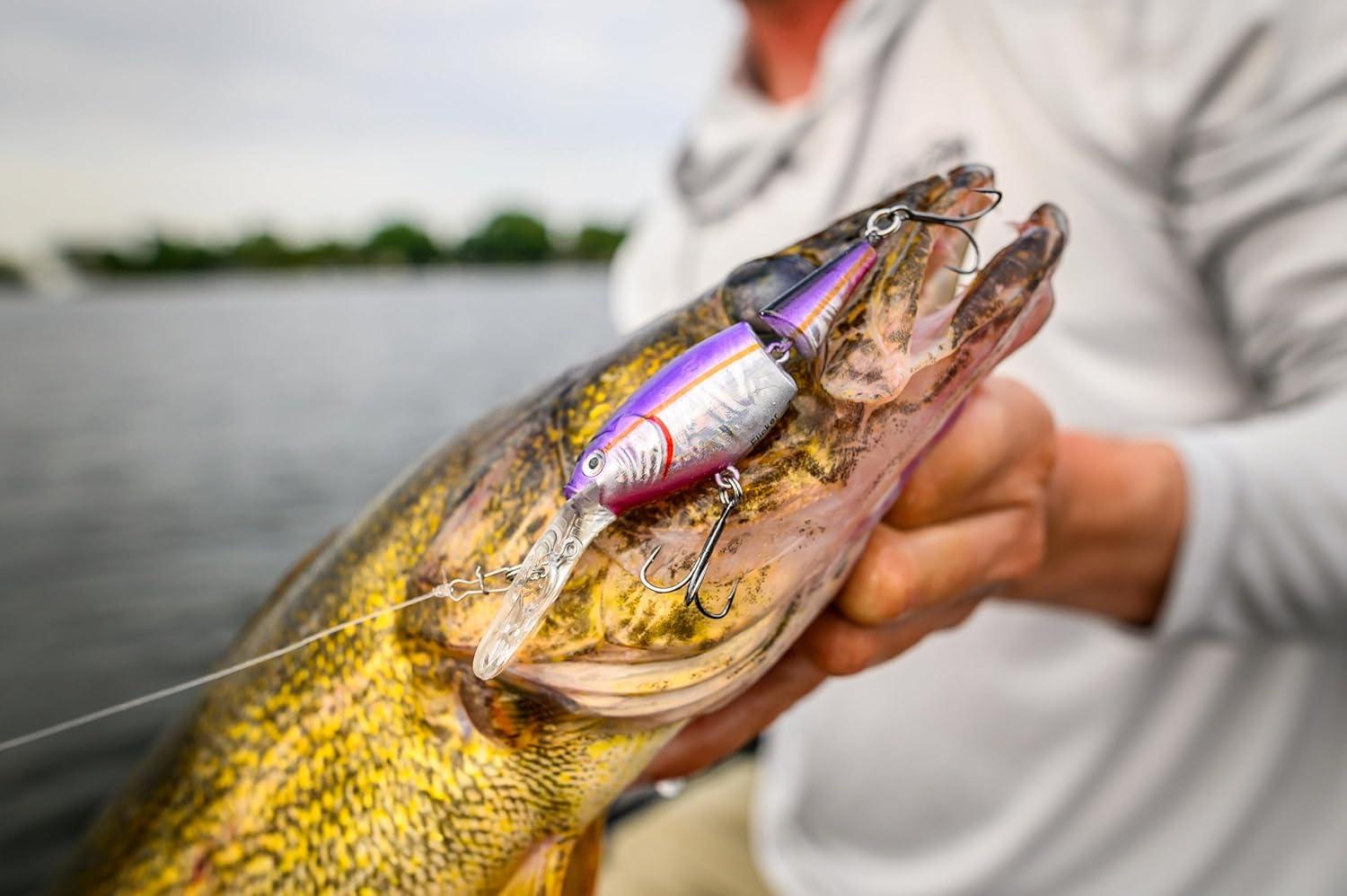 image:imageBerkley Flicker Shad Jointed Fishing Hard BaitBlaze