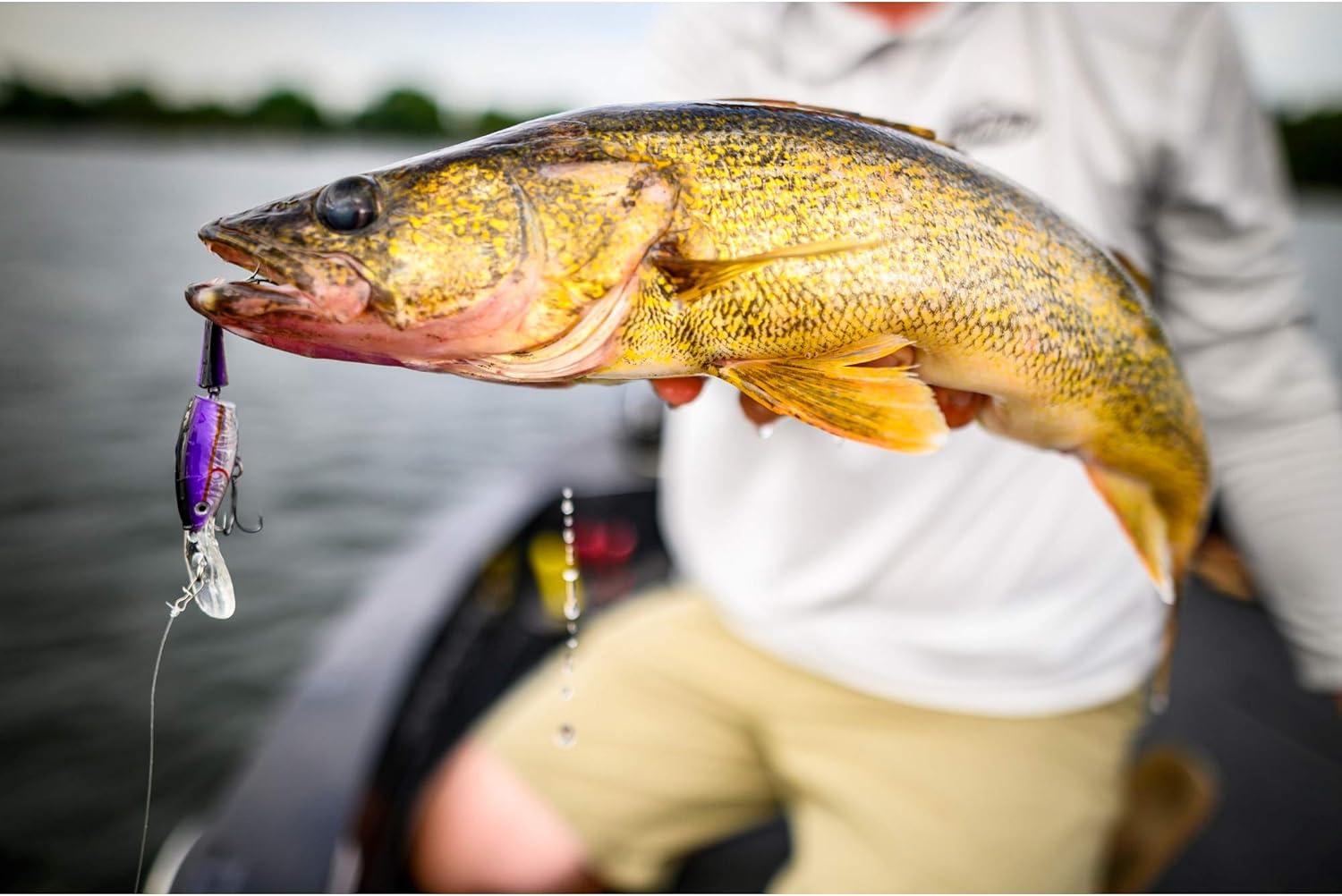 image:imageBerkley Flicker Shad Jointed Fishing Hard BaitFiretail Rico Suave