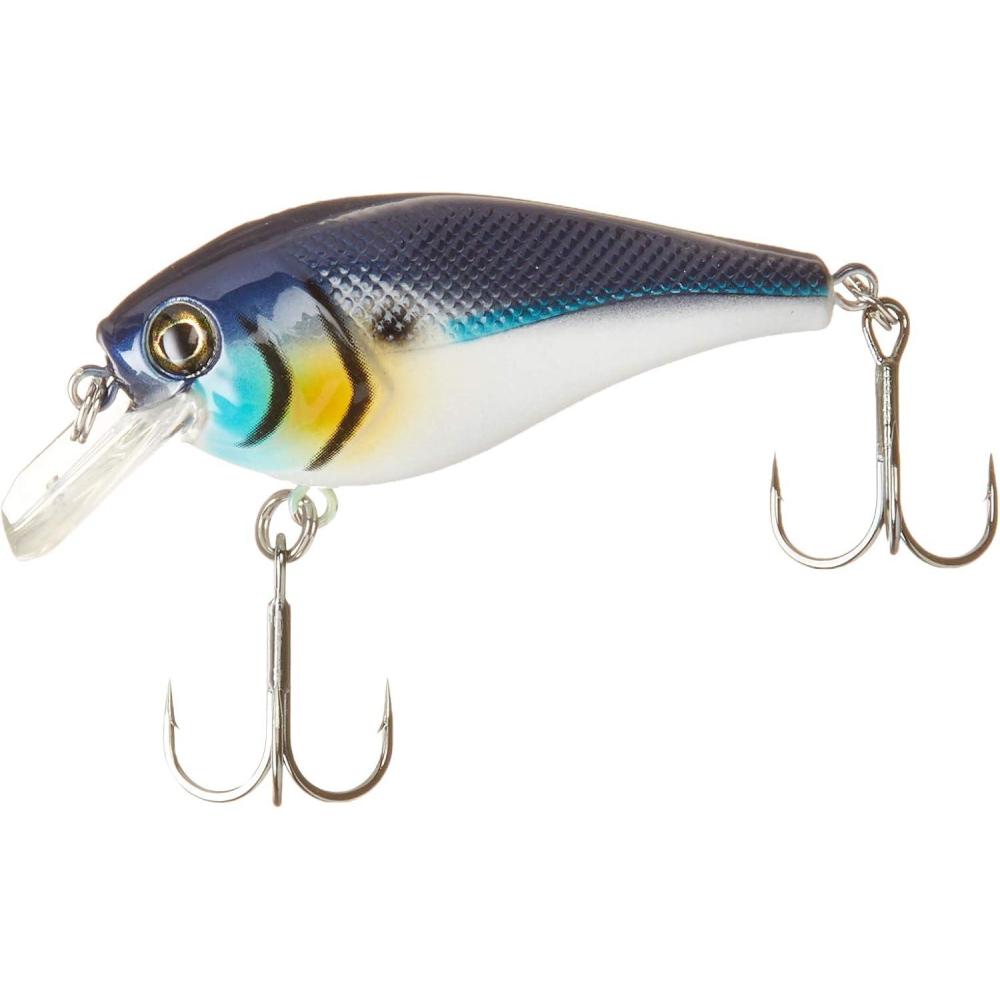 image:imageBerkley SquareBull Gilly 55Blue Back