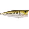 Berkley Bullet Pop Fishing Hard Bait(Baby Bass)