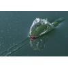 Berkley Bullet Pop Fishing Hard Bait(Maverick)