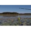 Berkley Crankbait Hard Fishing Lures(Big Money)