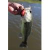 Berkley Dredger Fishing Hard Bait(Chameleon Pearl)
