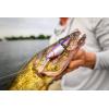 Berkley Flicker Shad Jointed Fishing Hard Bait(Black Silver)