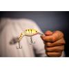 Berkley Flicker Shad Jointed Fishing Hard Bait(Firetail Rico Suave)