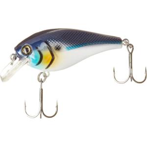 Berkley SquareBull Gilly 5.5(Blue Back)