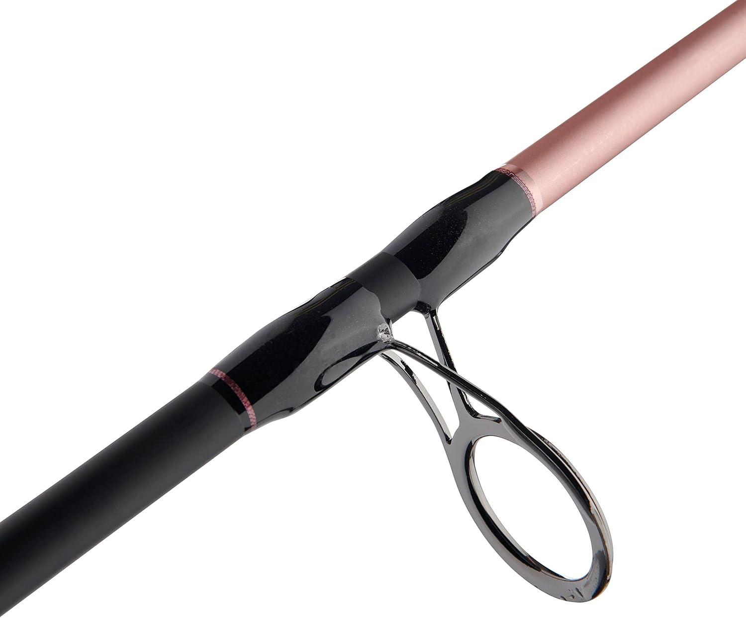 image:imagePenn Passion II Spinning Reel and Fishing Rod ComboPassion II