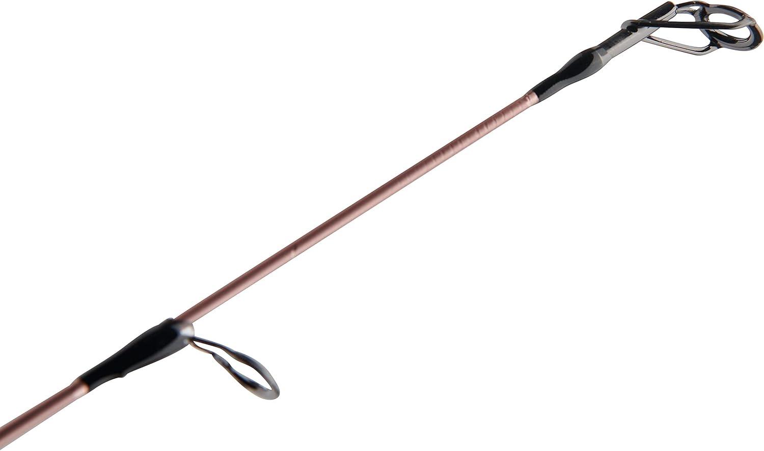 image:imagePenn Passion II Spinning Reel and Fishing Rod ComboPassion II
