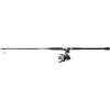 Penn Passion II Spinning Reel and Fishing Rod Combo(Passion II)