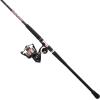 Penn Passion II Spinning Reel and Fishing Rod Combo(Passion II)