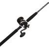 Penn Rival II Level Wind Conventional Rod and Reel Combo(Old Model)