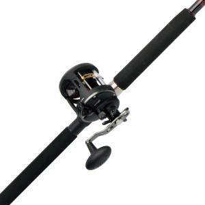 Penn Warfare Level Wind Fishing Rod and Reel Conventional Combo(Old Model)