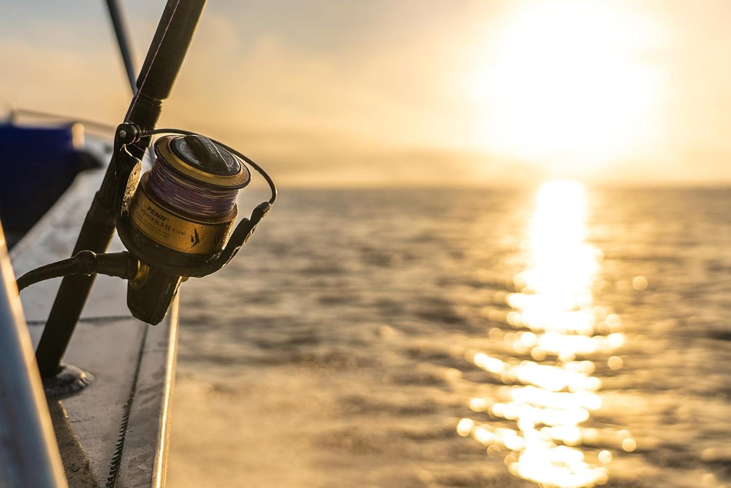 image:imagePenn Spinfisher VI Spinning Fishing ReelSvii New Model