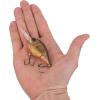 Berkley Dime Fishing Hard Bait(HD Brown Craw)