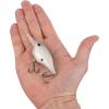 Berkley Dime Fishing Hard Bait(Honey Shad)