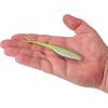 Berkley Gulp! Saltwater Jerk Shad Fishing Soft Bait(Key Lime Chrome)