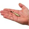 Berkley Gulp! Saltwater Paddleshad Fishing Soft Bait(Fool’s Gold)