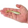 Berkley Gulp! Saltwater Paddleshad Fishing Soft Bait(Key Lime Chrome)