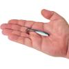Berkley Gulp! Saltwater Paddleshad Fishing Soft Bait(Ocean Shift)