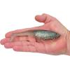 Berkley PowerBait CullShad Fishing Soft Bait(Electric Shad)