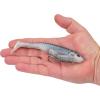 Berkley PowerBait CullShad Fishing Soft Bait(HD Ghost Gizzard)